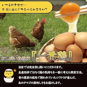 Amazon | 水郷のとりやさん 平飼い卵 【放し飼いでのびのび育っ